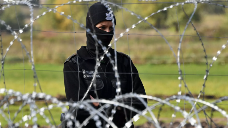Польские пограничники зафиксировали рекордное количество нелегалов за сутки