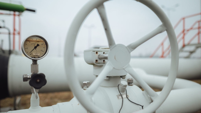 Уитакер: США ждут отказа Турции, Словакии и Венгрии от российского газа